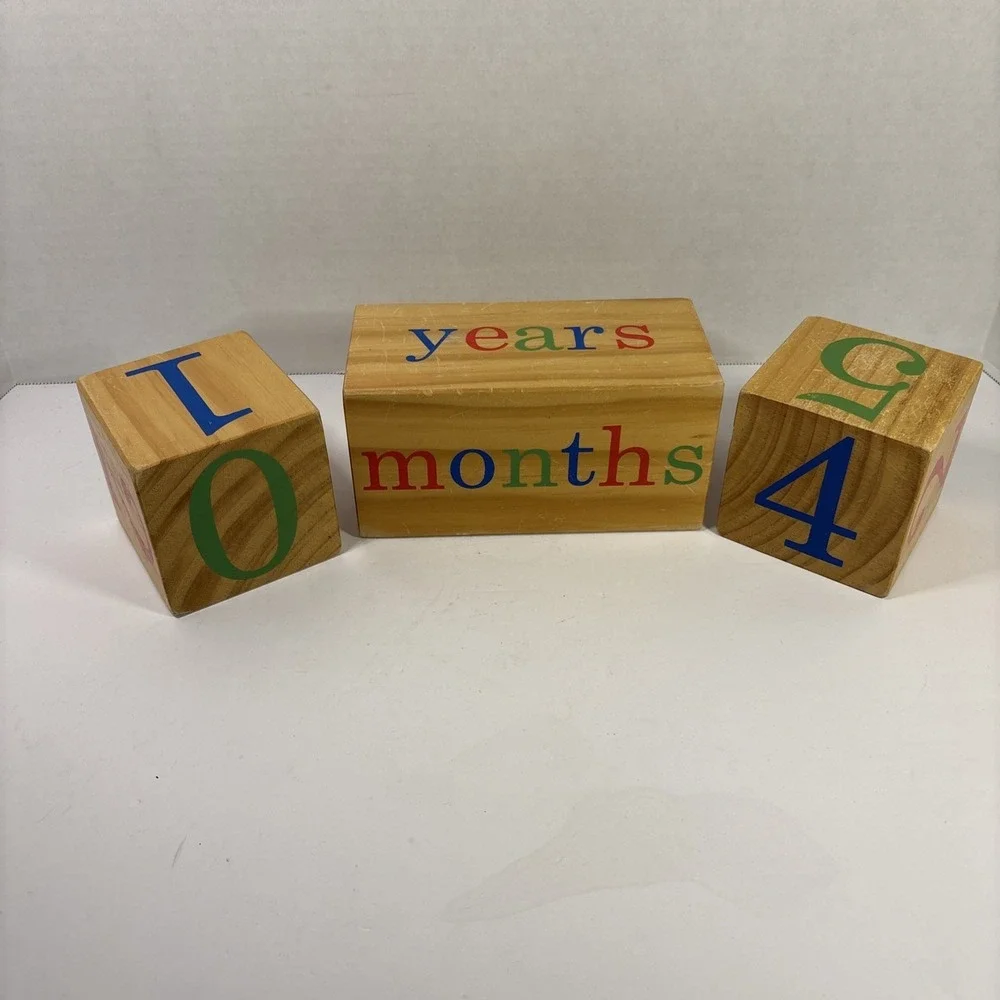 BB Blocks Wooden Baby Milestone Blocks Set Weeks Months Years Photo Prop Wood